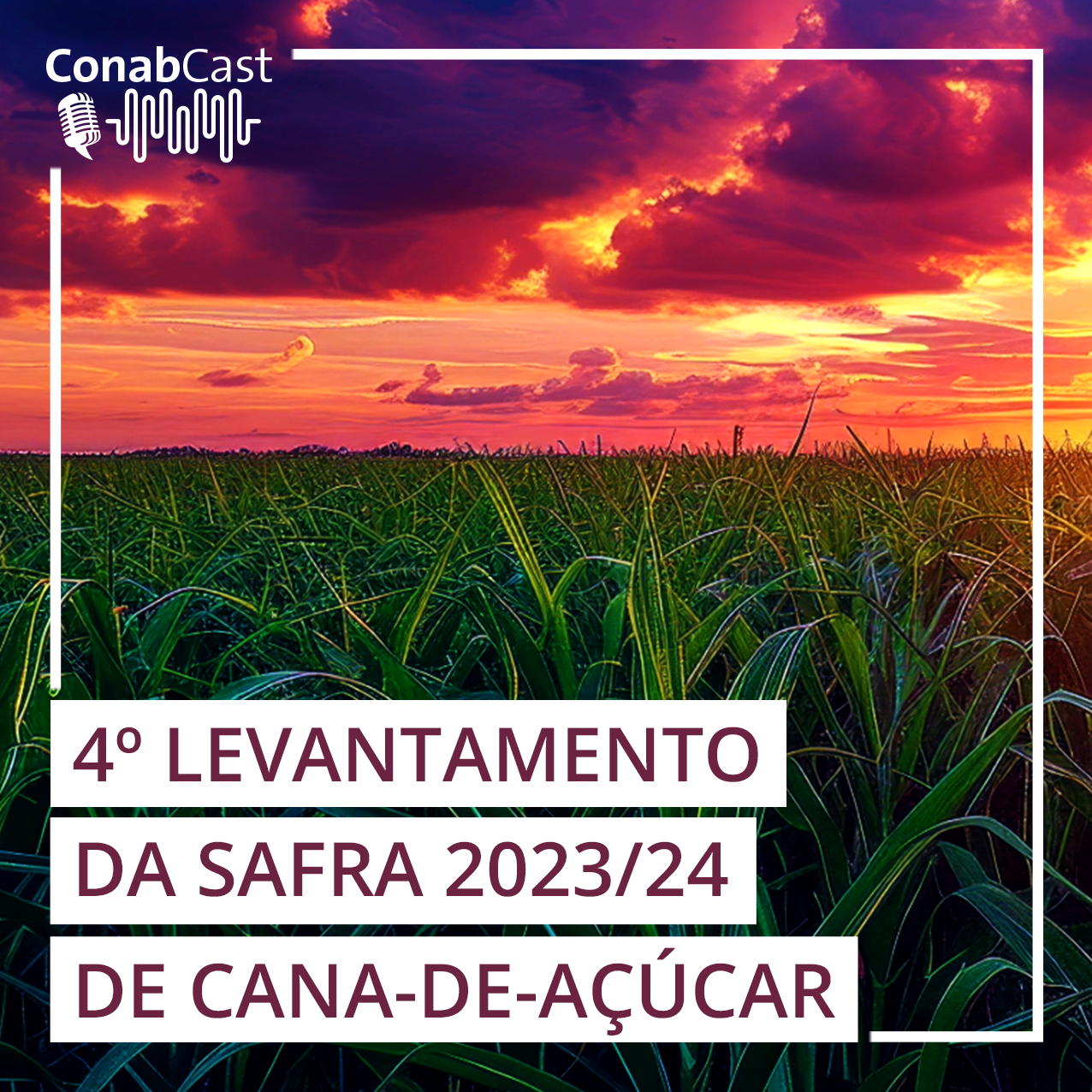 Produção de cana-de-açúcar na safra 2023/24 chega a 713,2 milhões de toneladas, a maior da série histórica