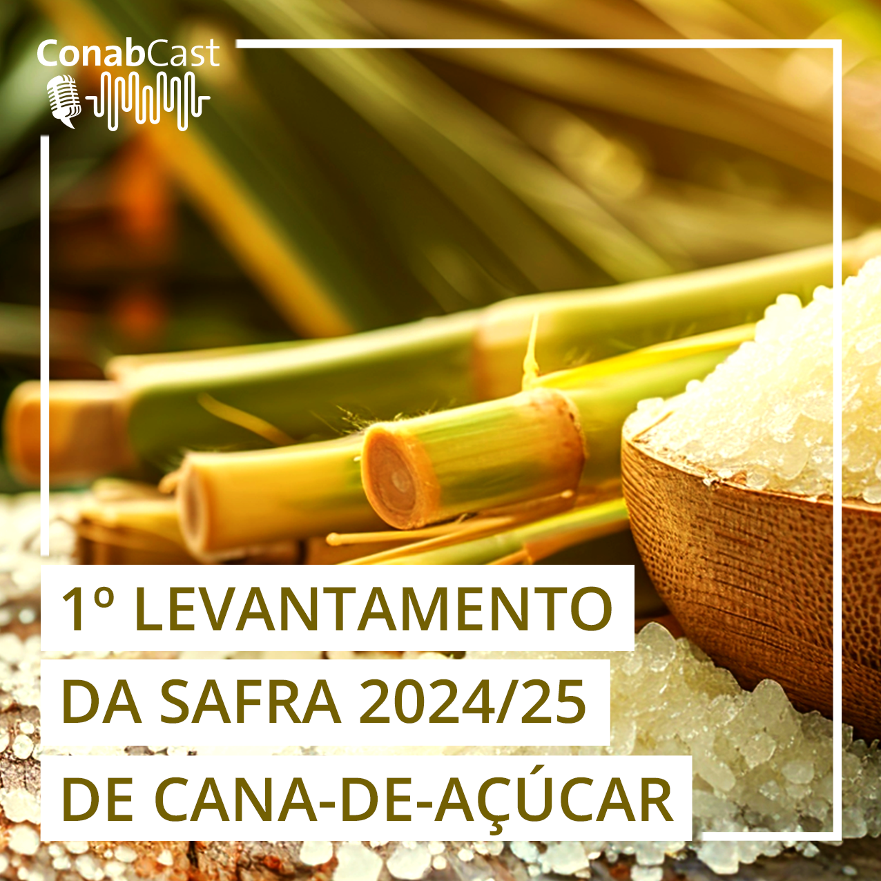 Brasil deve atingir recorde na produção de açúcar mesmo com redução na produção de cana-de-açúcar na safra 2024/2025