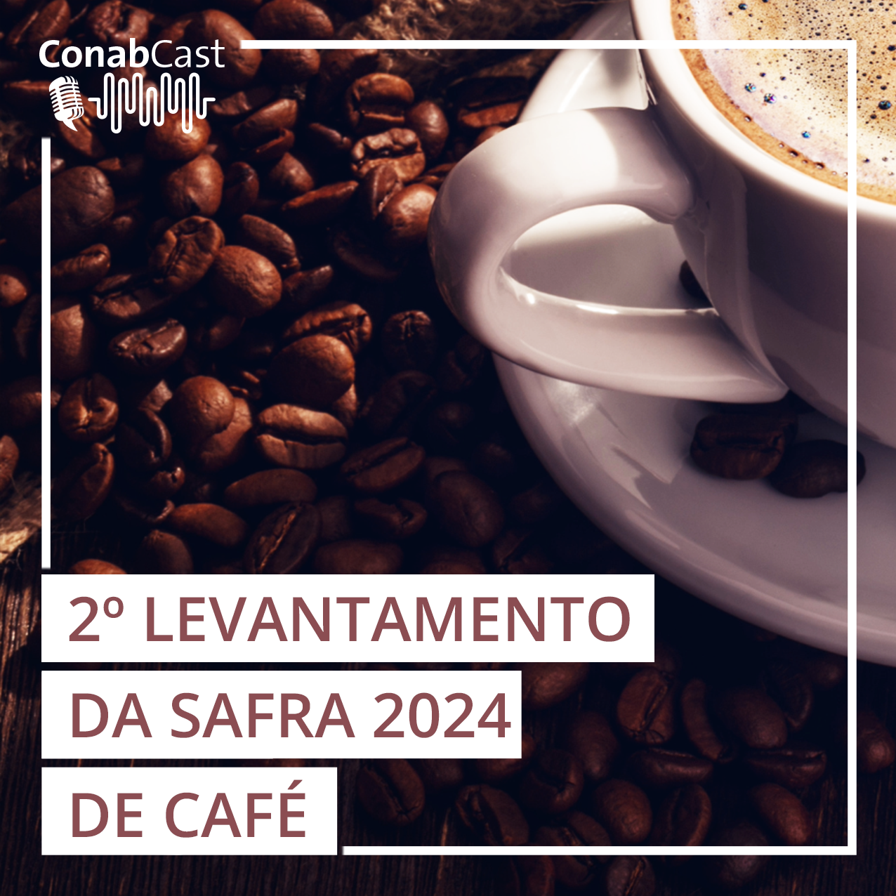 Nova estimativa da Conab traz produção de café em 58,81 milhões de sacas em 2024