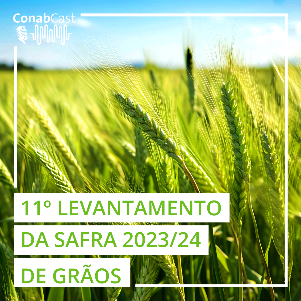 Produção de grãos na safra 2023/2024 está estimada em 298,6 milhões de toneladas