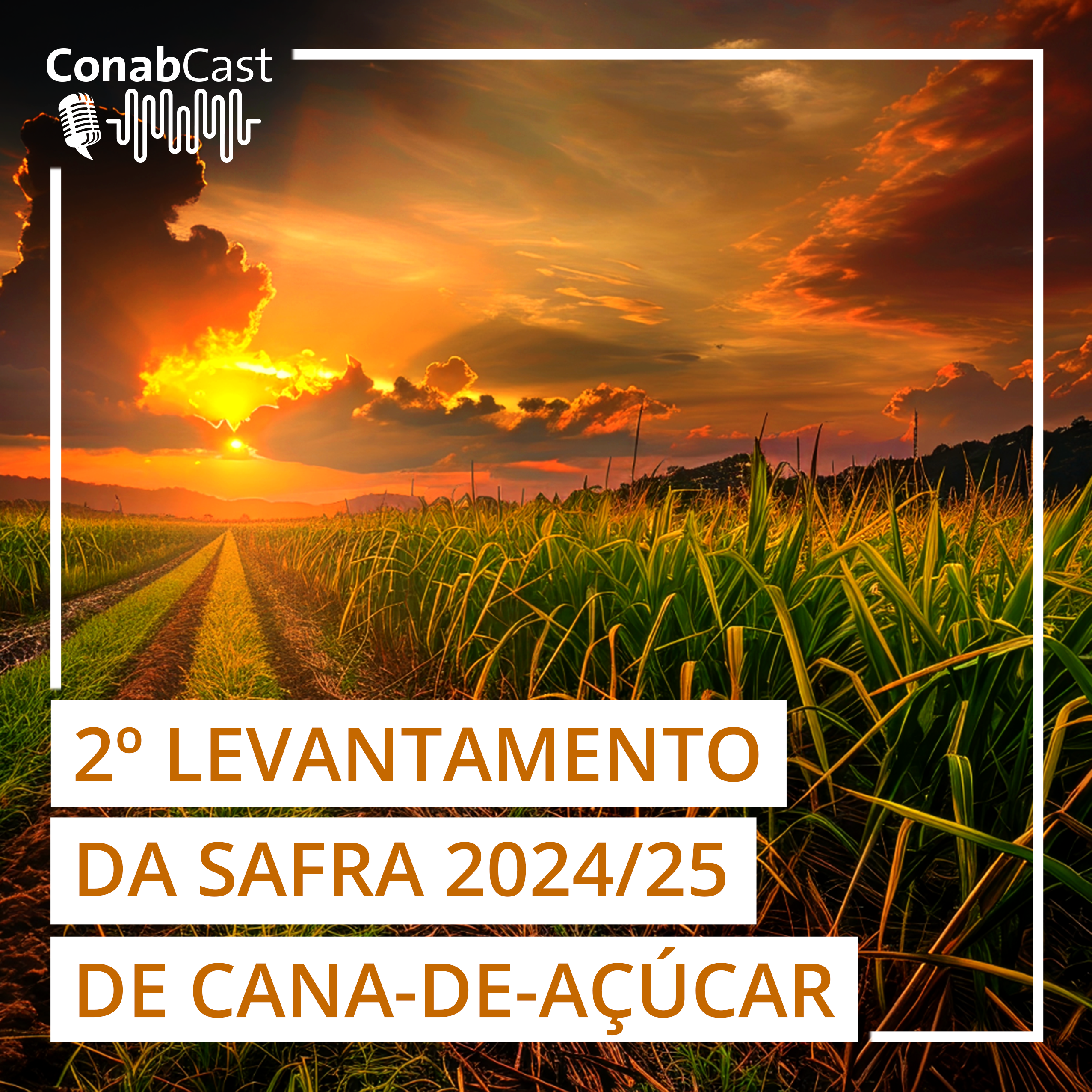 Produção de cana-de-açúcar deve chegar a 689,8 milhões na safra 2024/2025, aponta Conab