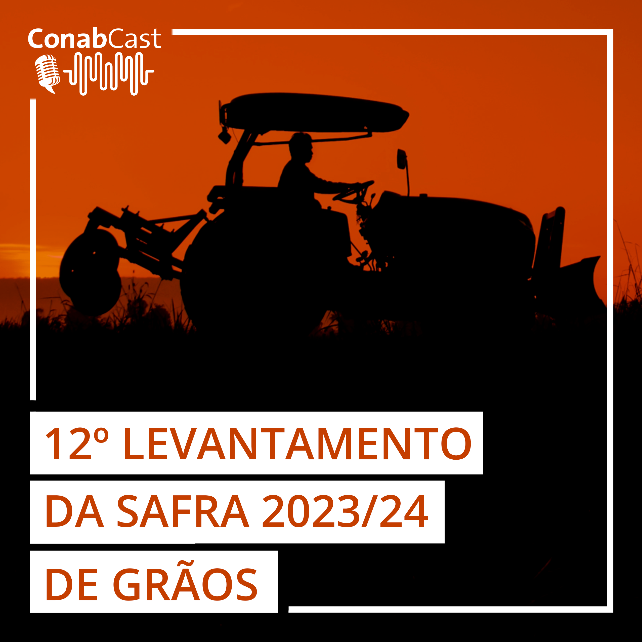 Produção de grãos atinge 298,41 milhões de toneladas na safra 2023/2024.