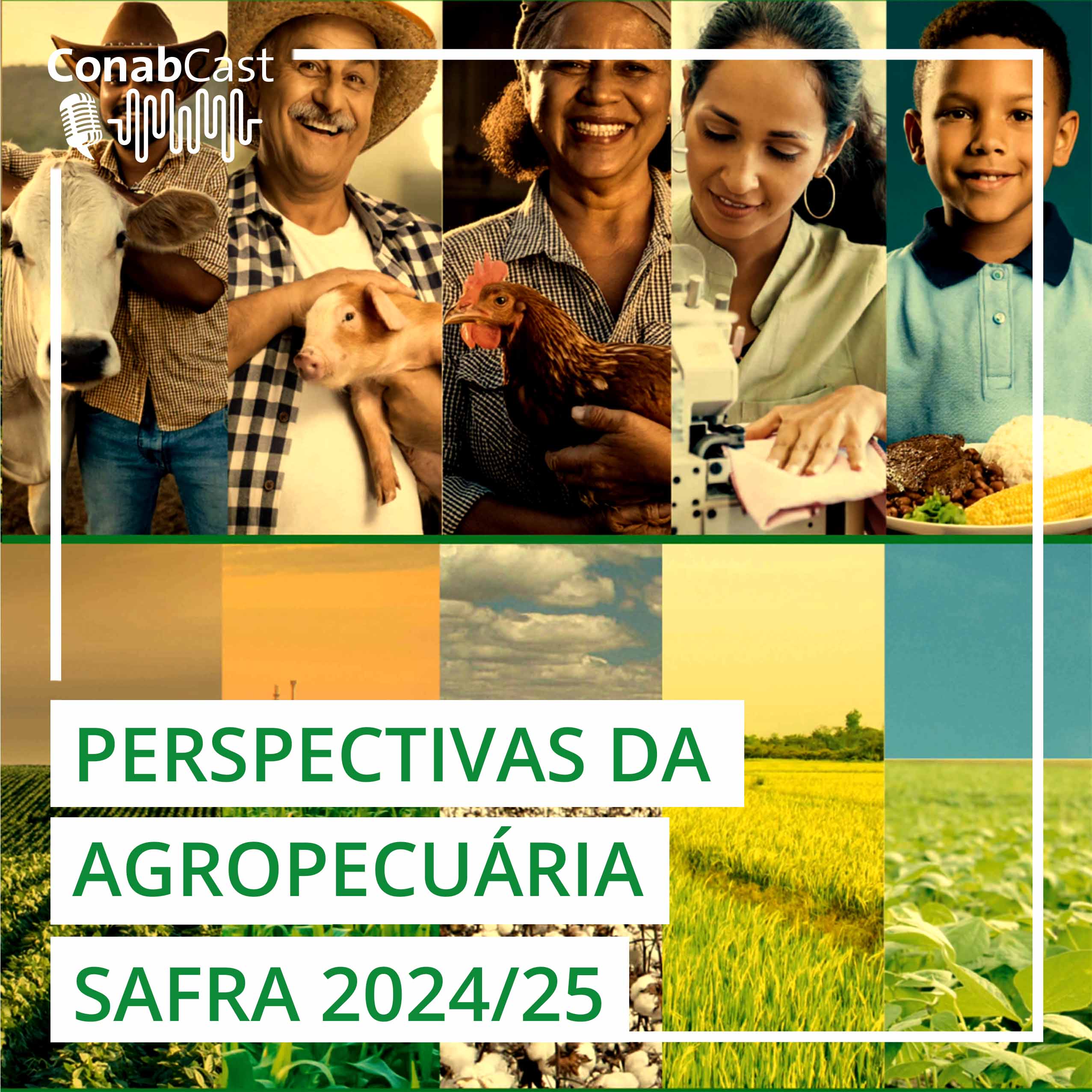 Perspectivas da Agropecuária 2024/2025 traz cenários para produção de grãos e mercado de carnes