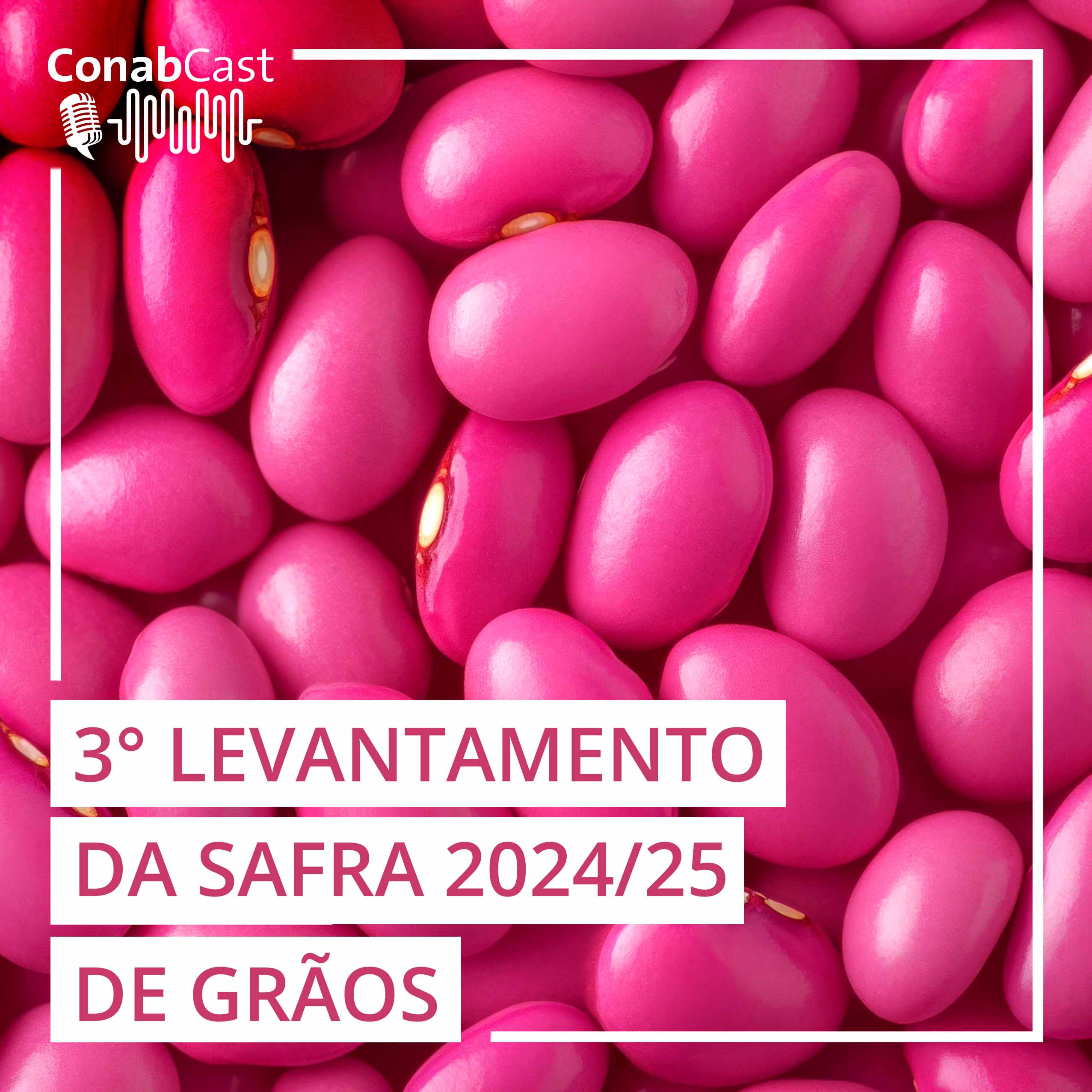 Nova estimativa da Conab aponta para uma produção de 322,4 milhões de toneladas de grãos na safra 2024/25