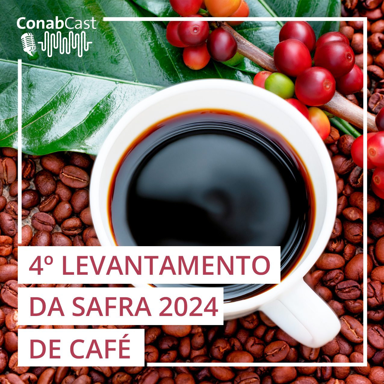 Safra de café encerra em 54,2 milhões de sacas em 2024 impactada por clima adverso