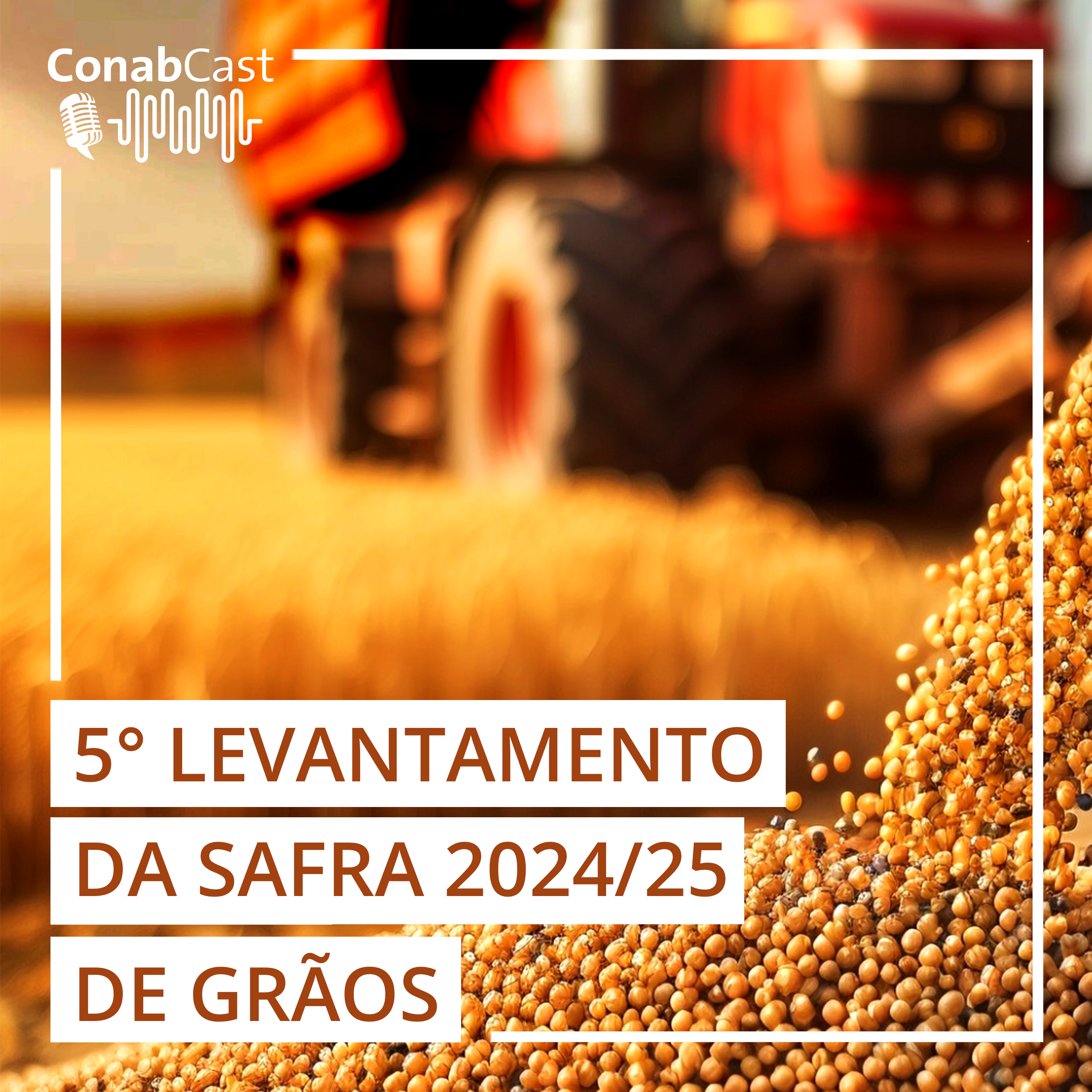 Conab estima produção de grãos em 325,7 milhões de toneladas na safra 2024/25