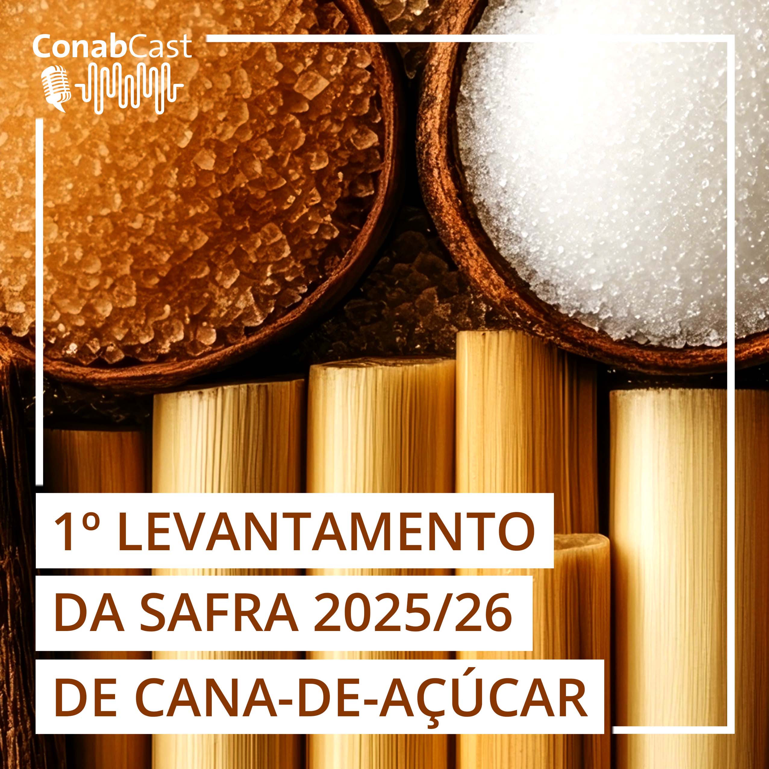 Conab estima produção de cana-de-açúcar em 663,4 milhões de toneladas na safra 2025/26