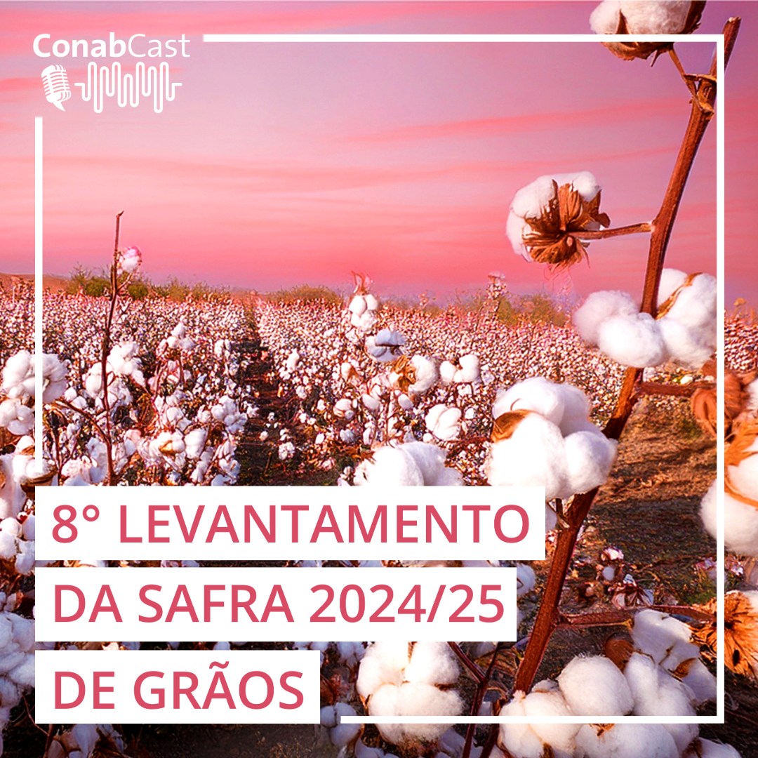 Conab estima produção de grãos em 332,9 milhões de toneladas na safra 2024/25 