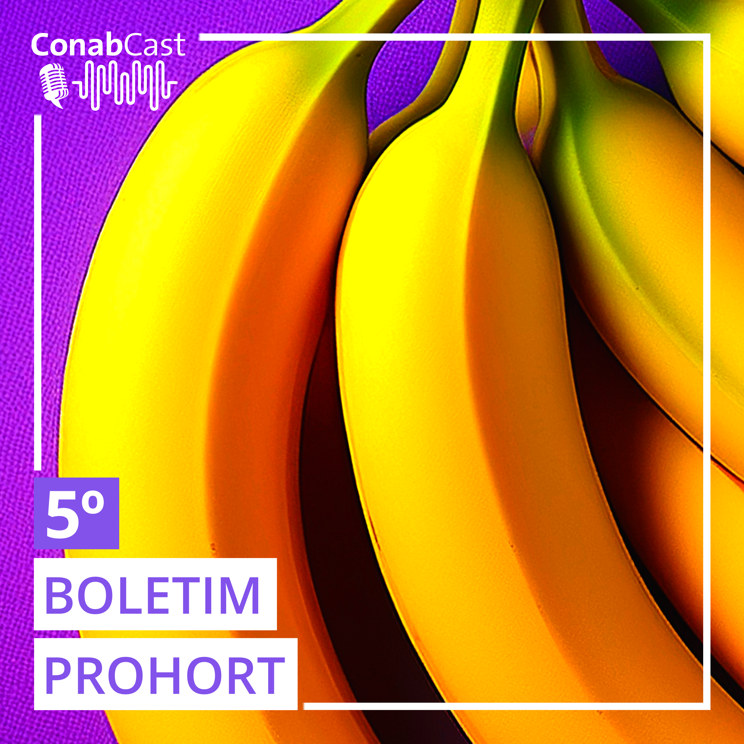 Boletim da Conab aponta queda de preços da cenoura nos principais mercado atacadistas