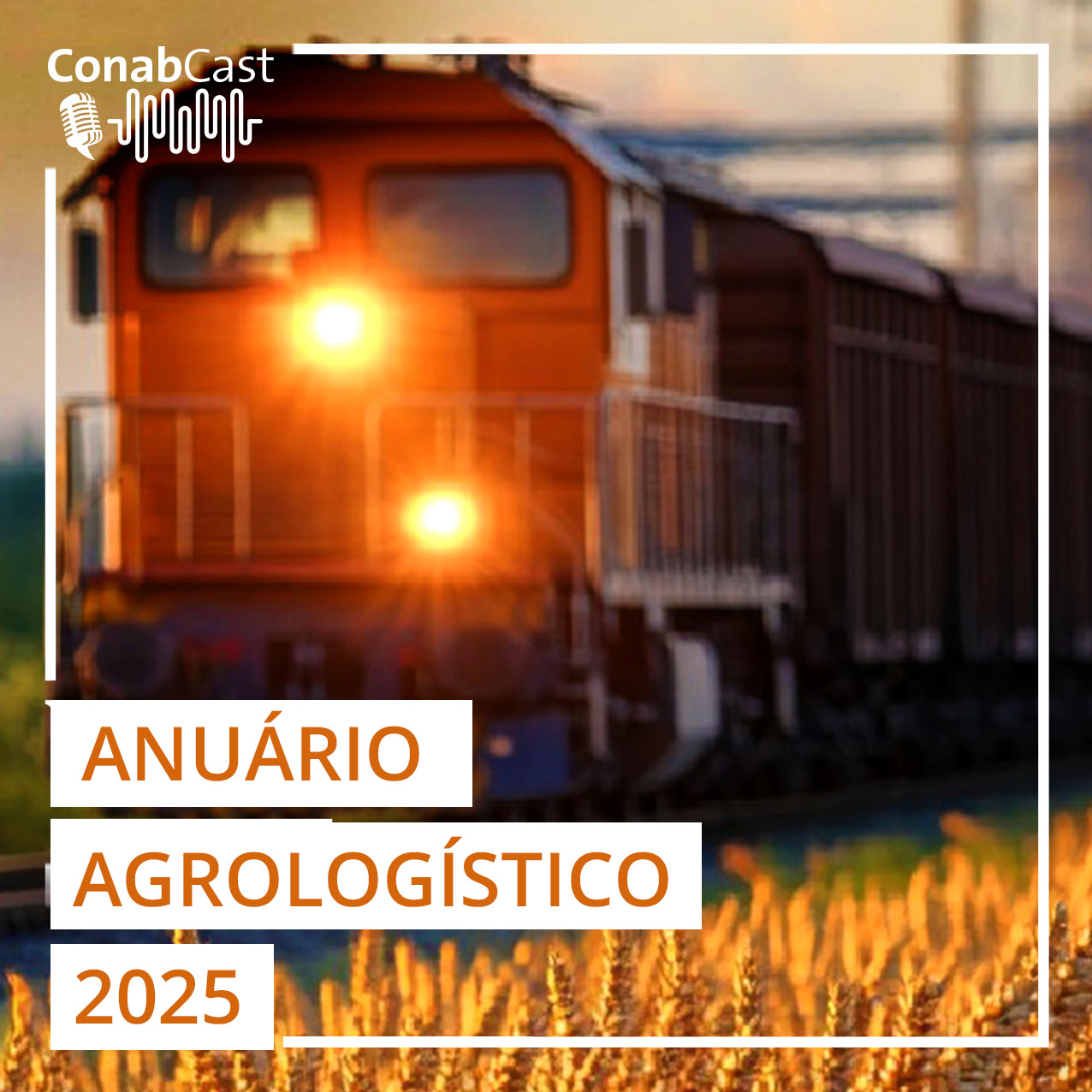 Volume exportado de milho e soja pelo Arco Norte cresce mais de 50%, aponta estudo da Conab