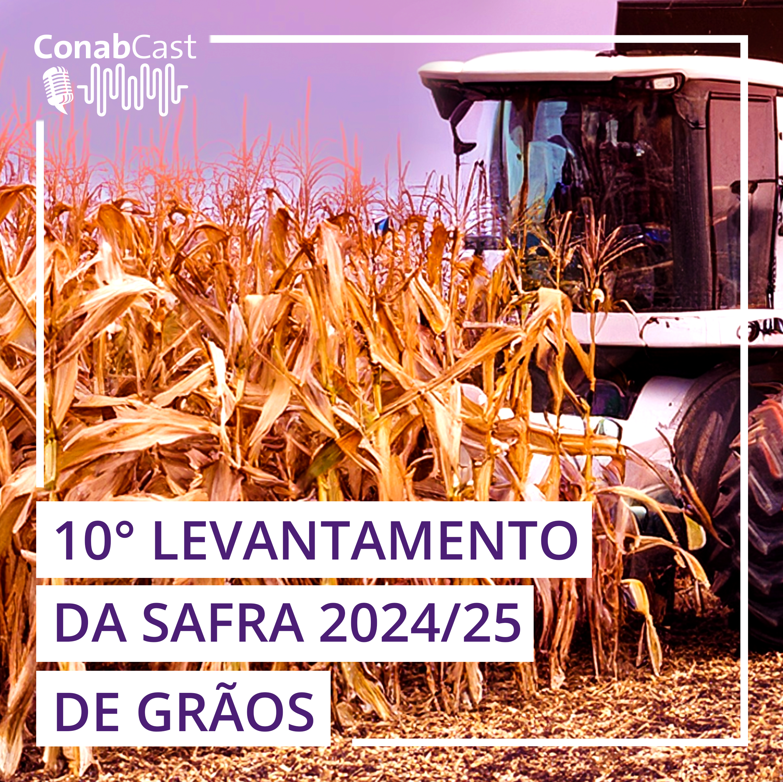 Produção pode alcançar 339,6 milhões de toneladas e superar safra anterior