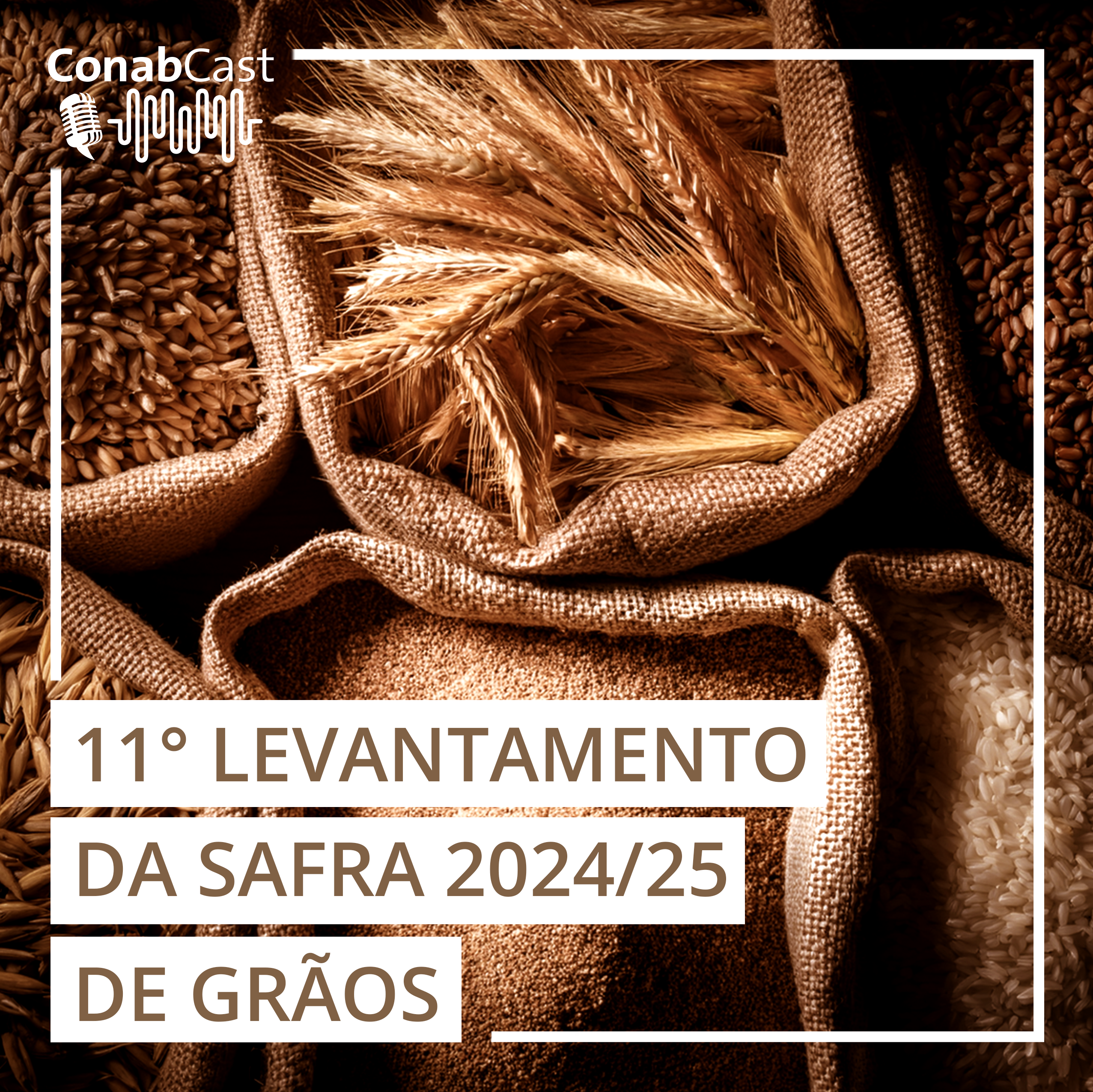 Produção de grãos está estimada em 345,2 milhões de toneladas na safra 2024/25