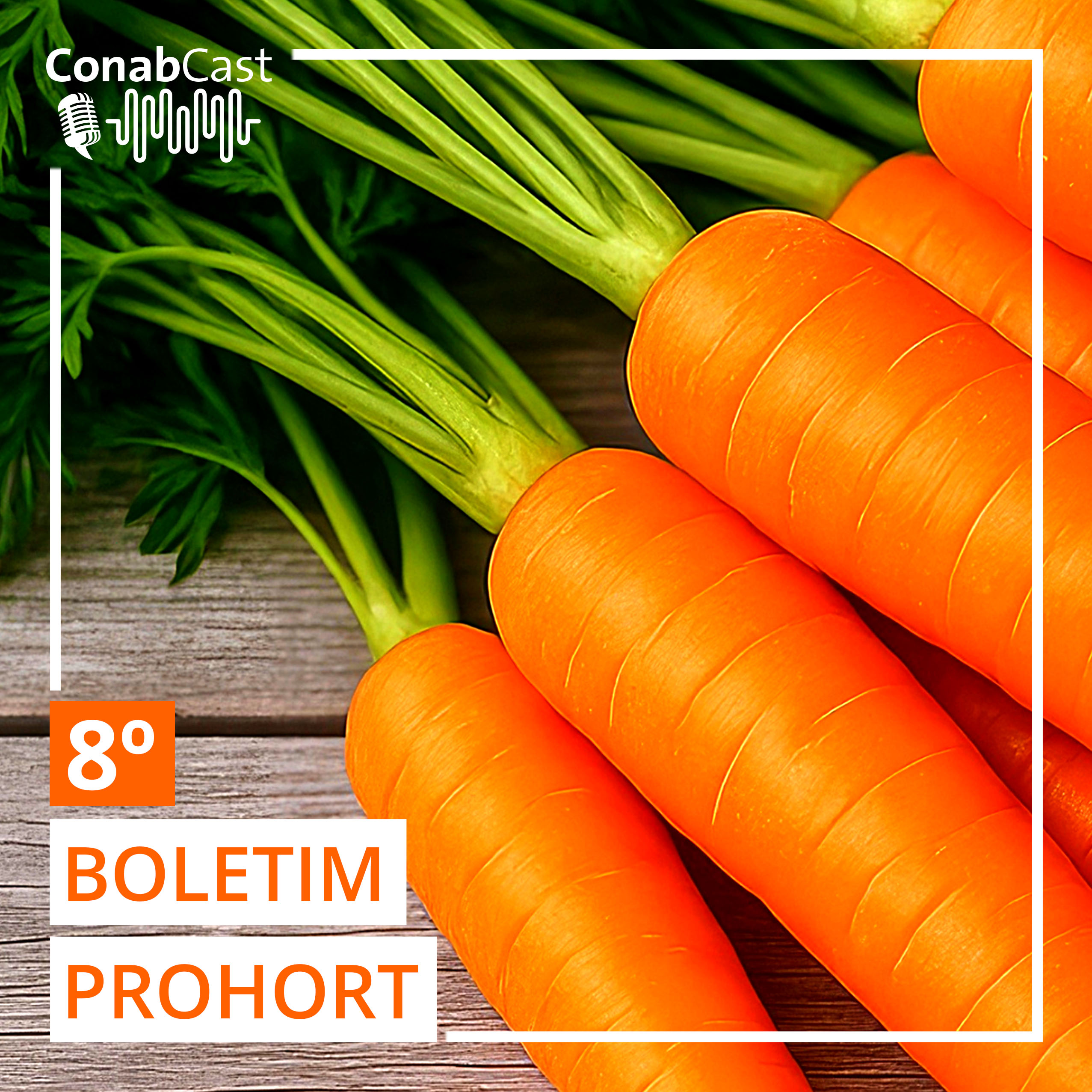Boletim da Conab aponta queda para preços de batata e cebola nos principais mercados atacadistas