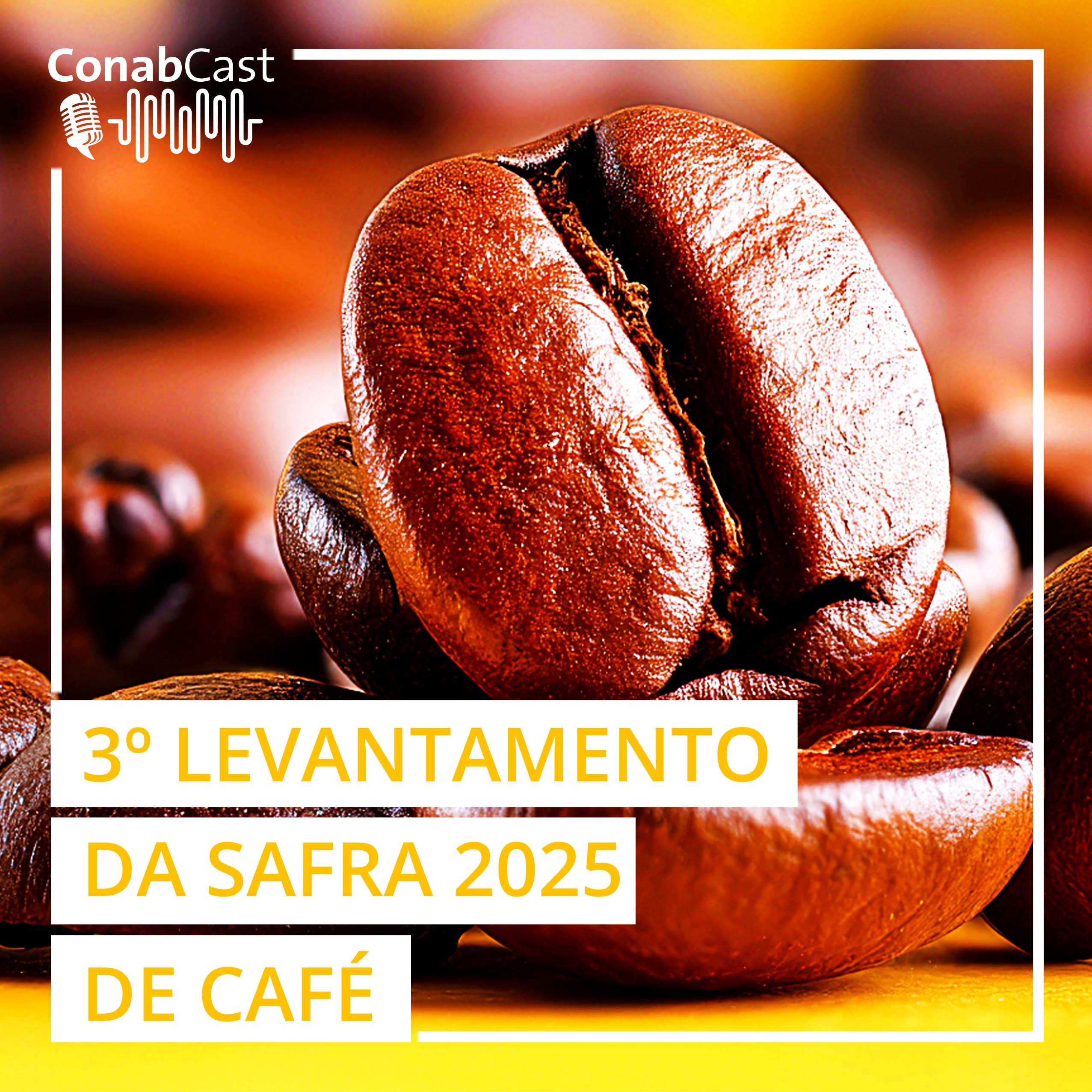 Levantamento da Conab aponta para uma produção de café de 55,2 milhões de sacas na safra 2025