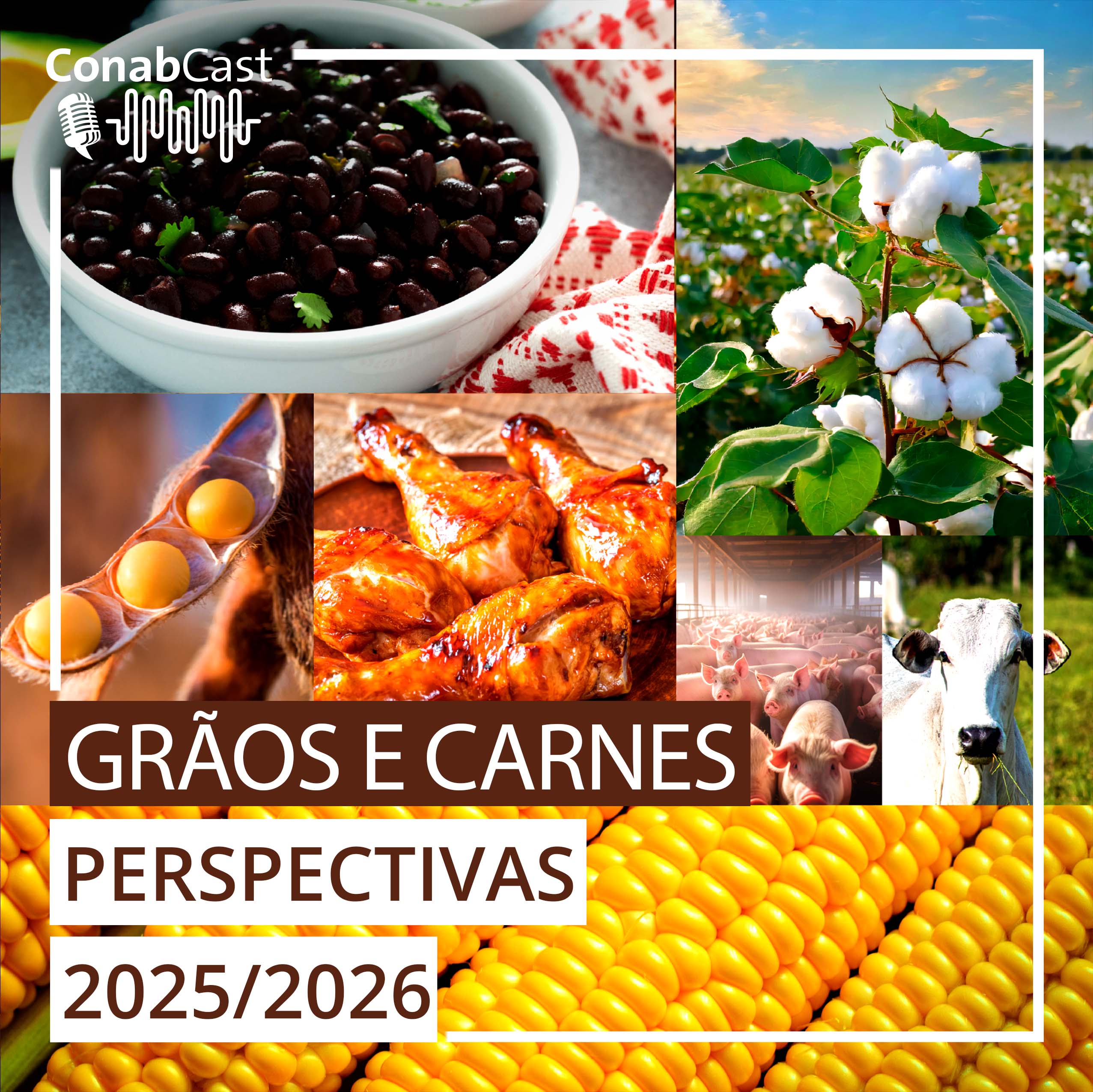 Produção de grãos na safra 2025/26 pode chegar a 353,8 milhões de toneladas, influenciado por aumento de área