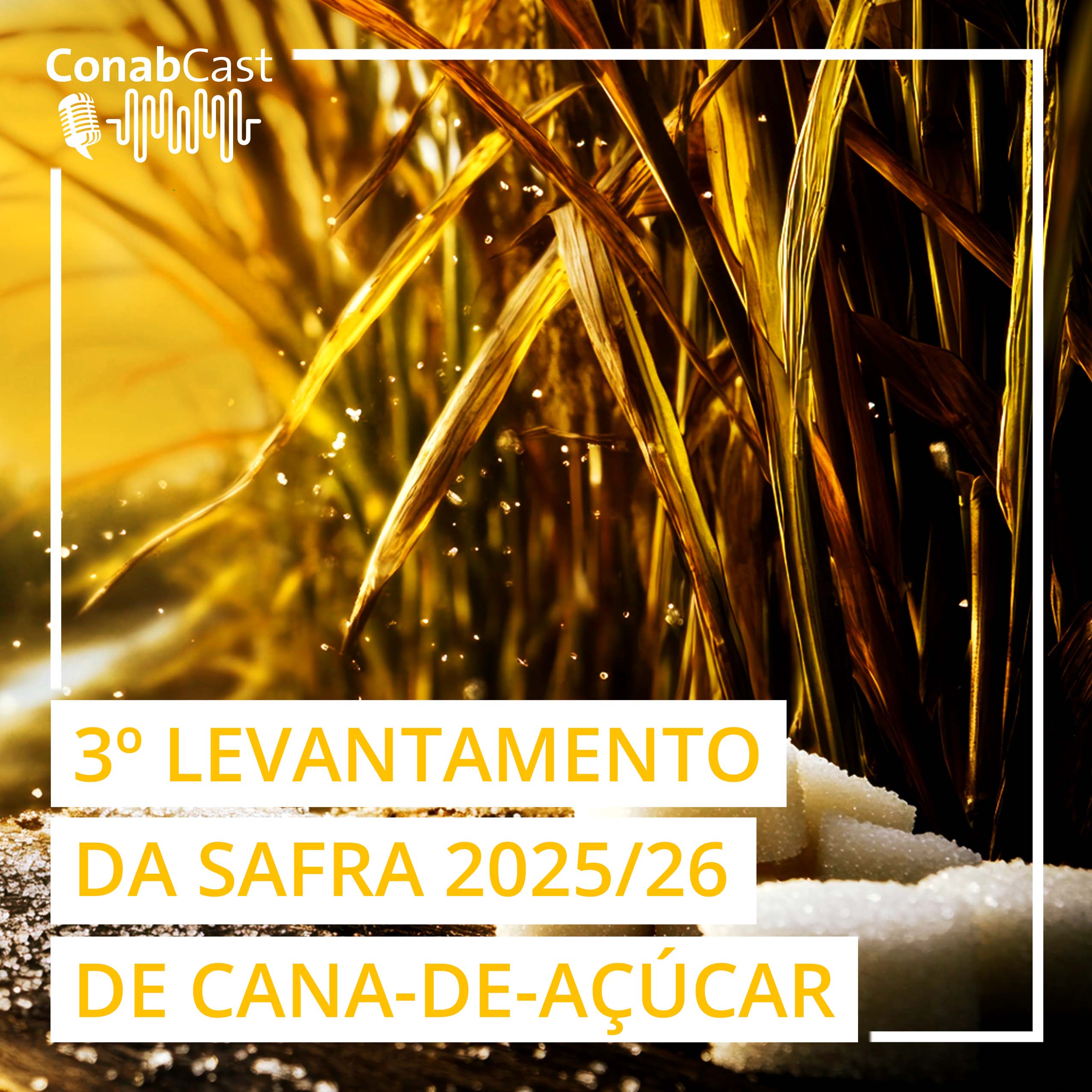 Clima adverso impacta produção de cana estimada pela Conab em 666,4 milhões de toneladas na safra 2025/26