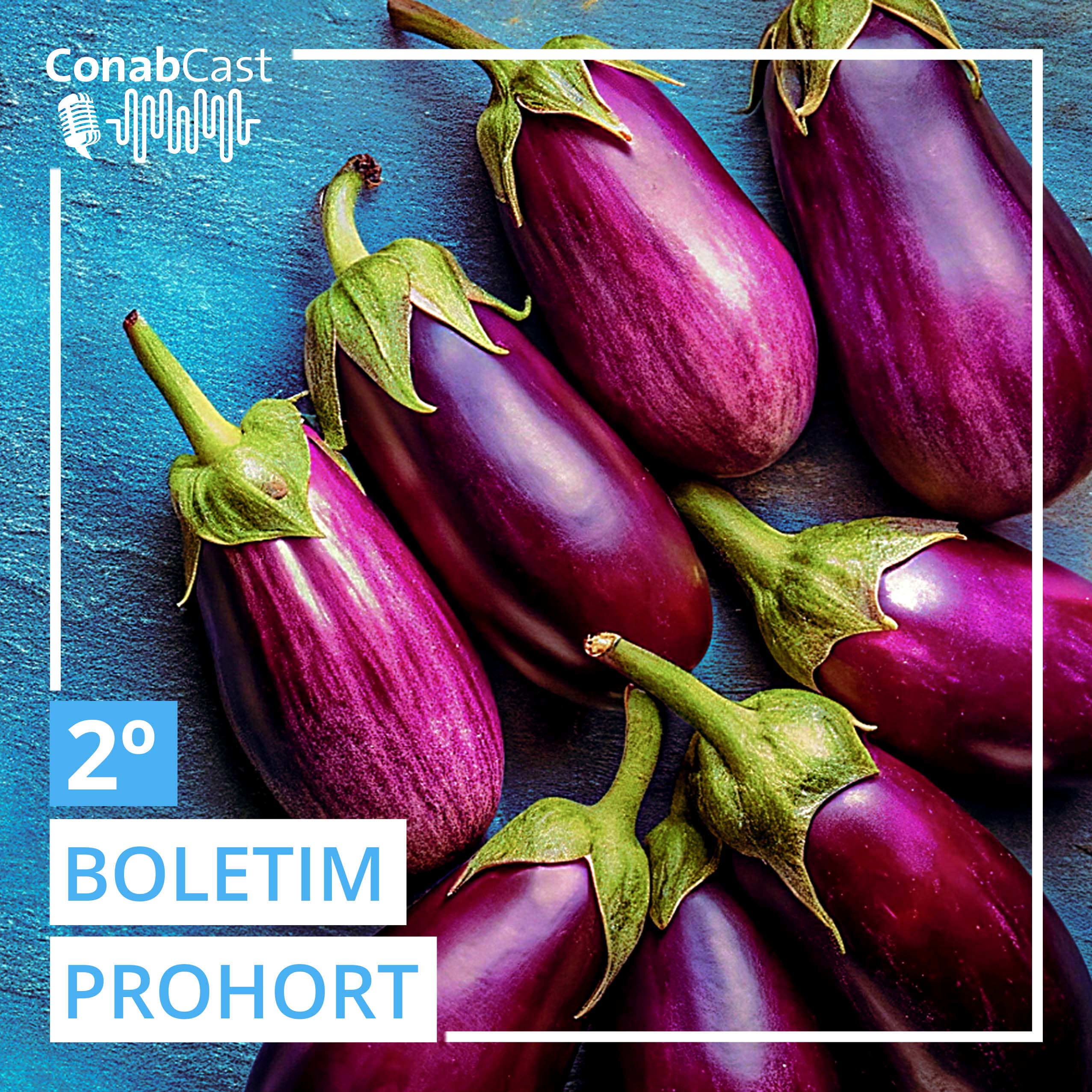 Maioria das frutas mais vendidas nas Ceasas analisadas pela Conab apresenta queda de preços