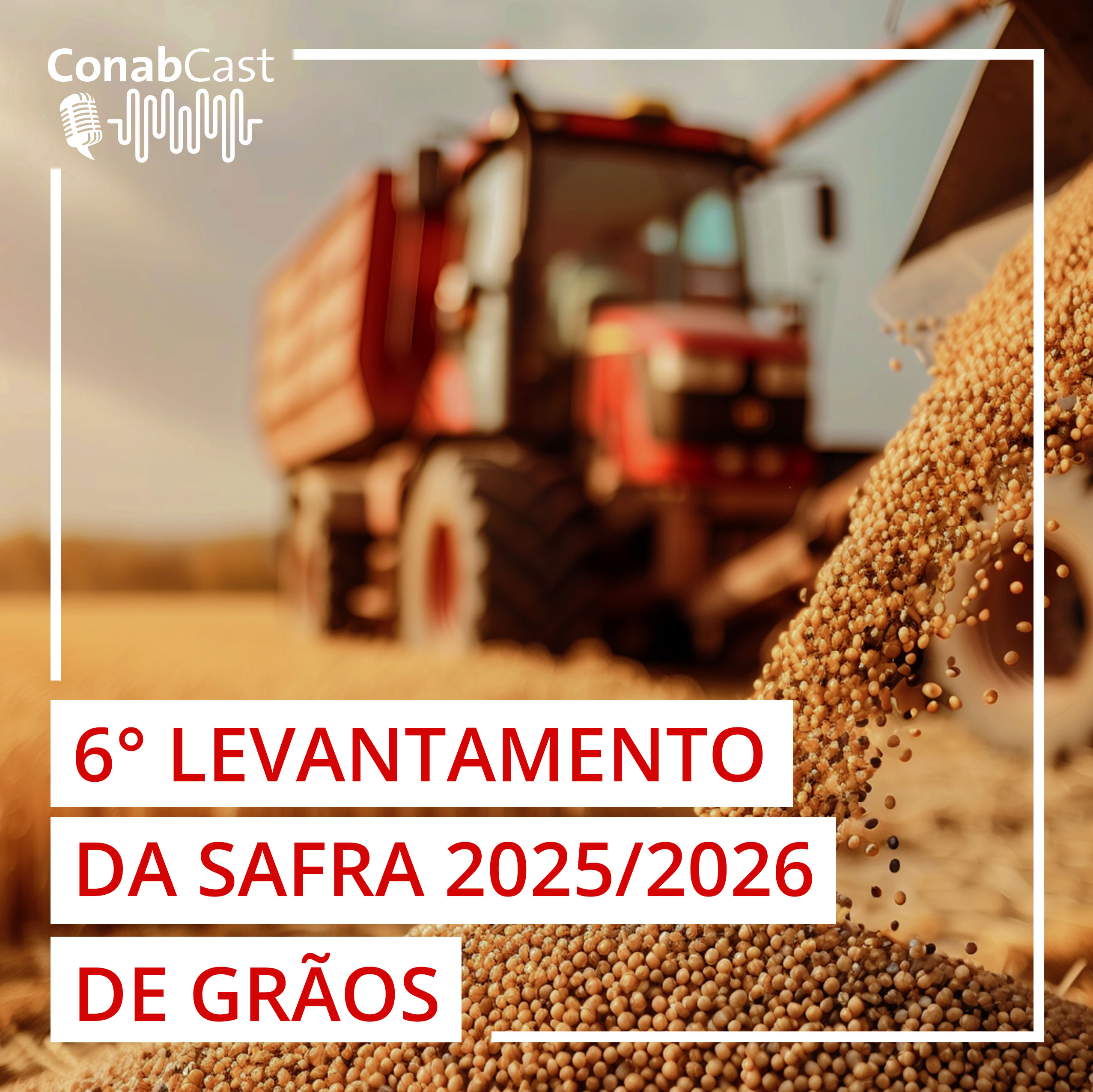 Produção de grãos pode chegar a 353,4 milhões de toneladas ao final da temporada 2025/26