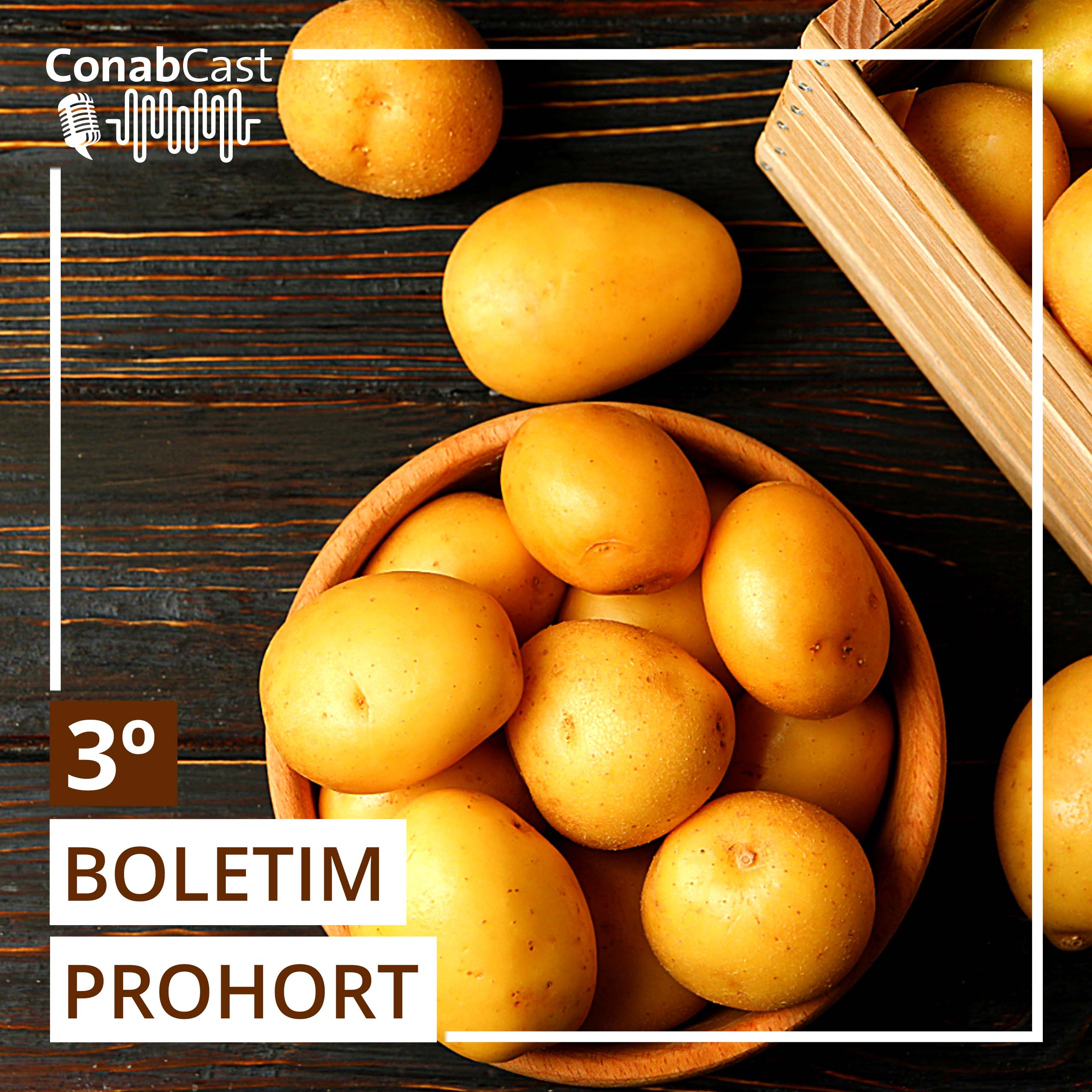 Frutas mais comercializadas no atacado registram queda de preços no último mês