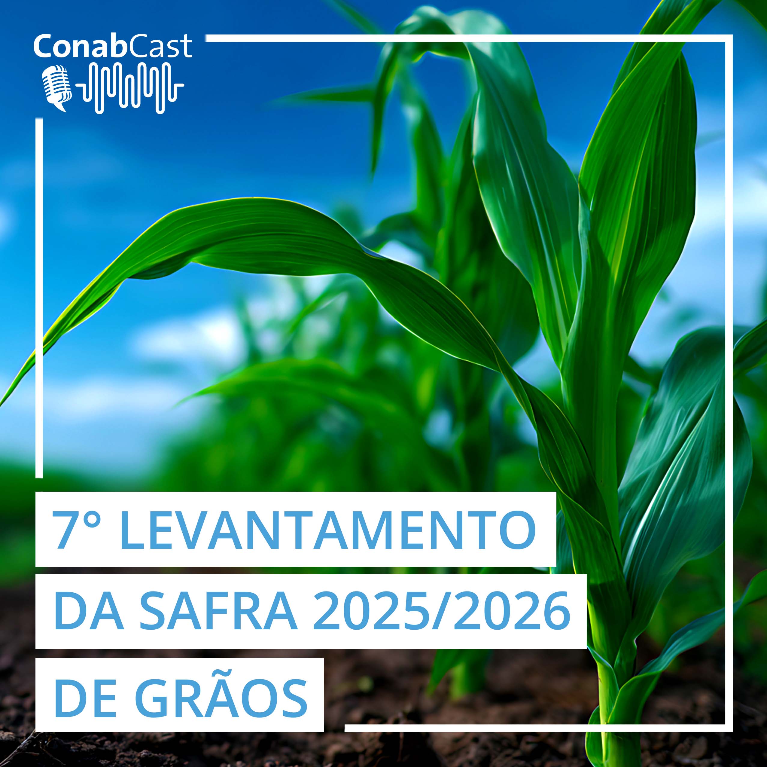 Produção de grãos deve atingir 356,3 milhões de toneladas na safra 2025/26 influenciada por boas produtividades