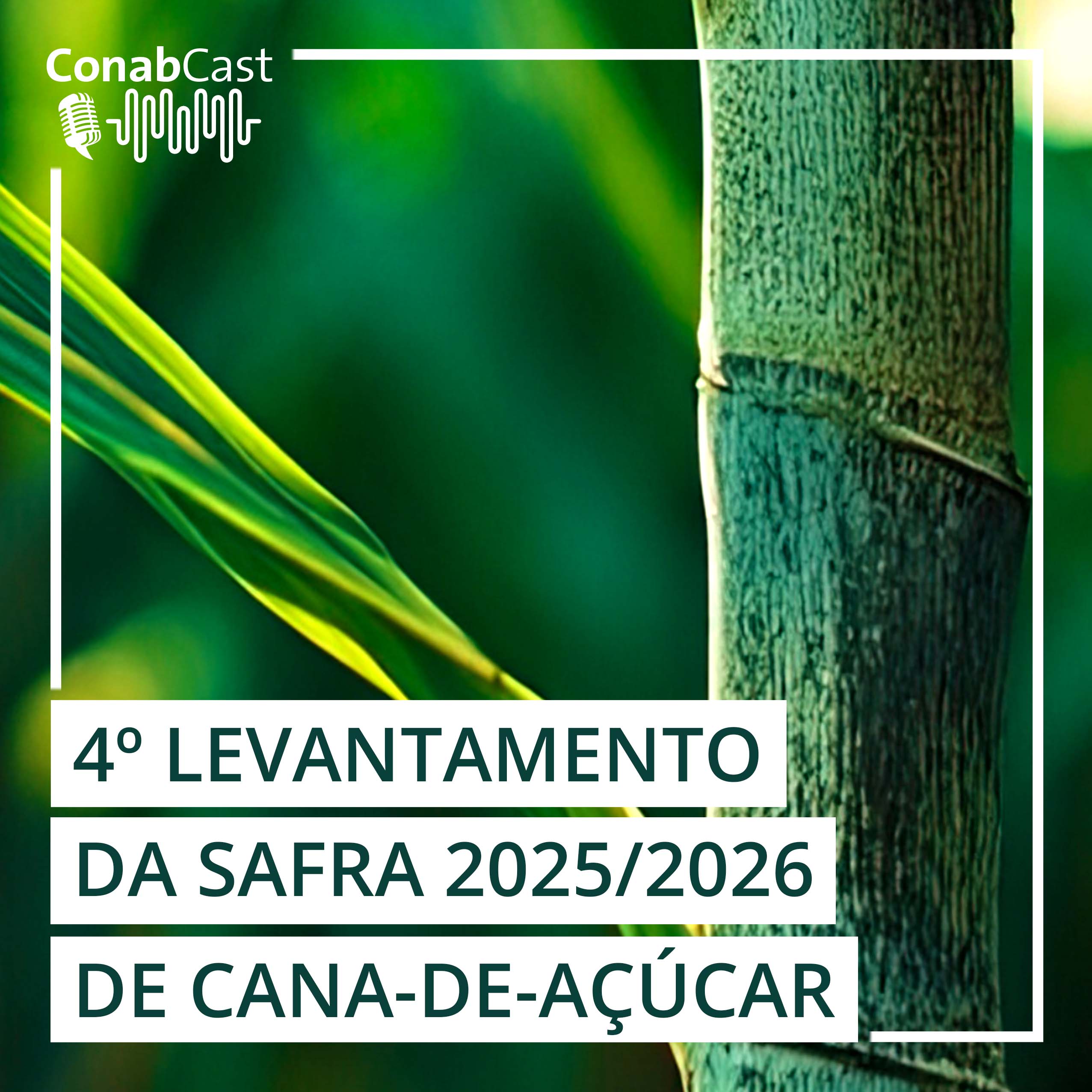 Produção de cana-de-açúcar encerra ciclo 2025/26 estimada em 673,2 milhões de toneladas