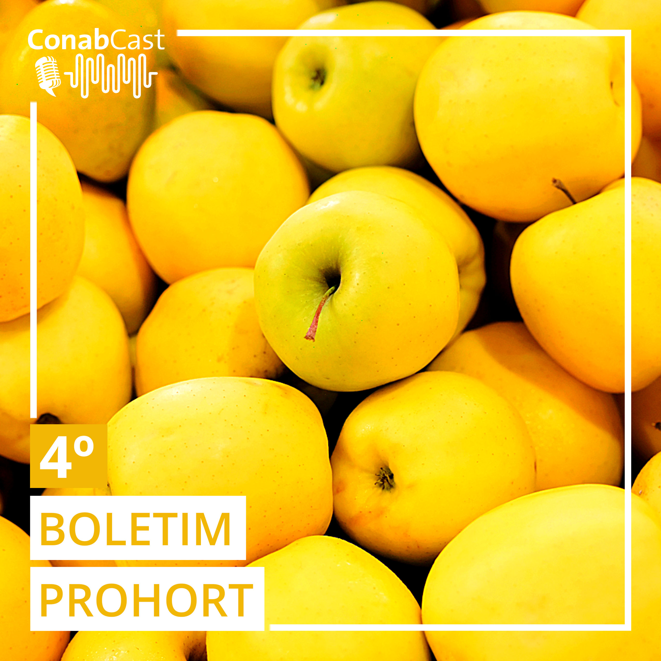 Preços da maçã registram queda em todas as Ceasas analisadas pela Conab