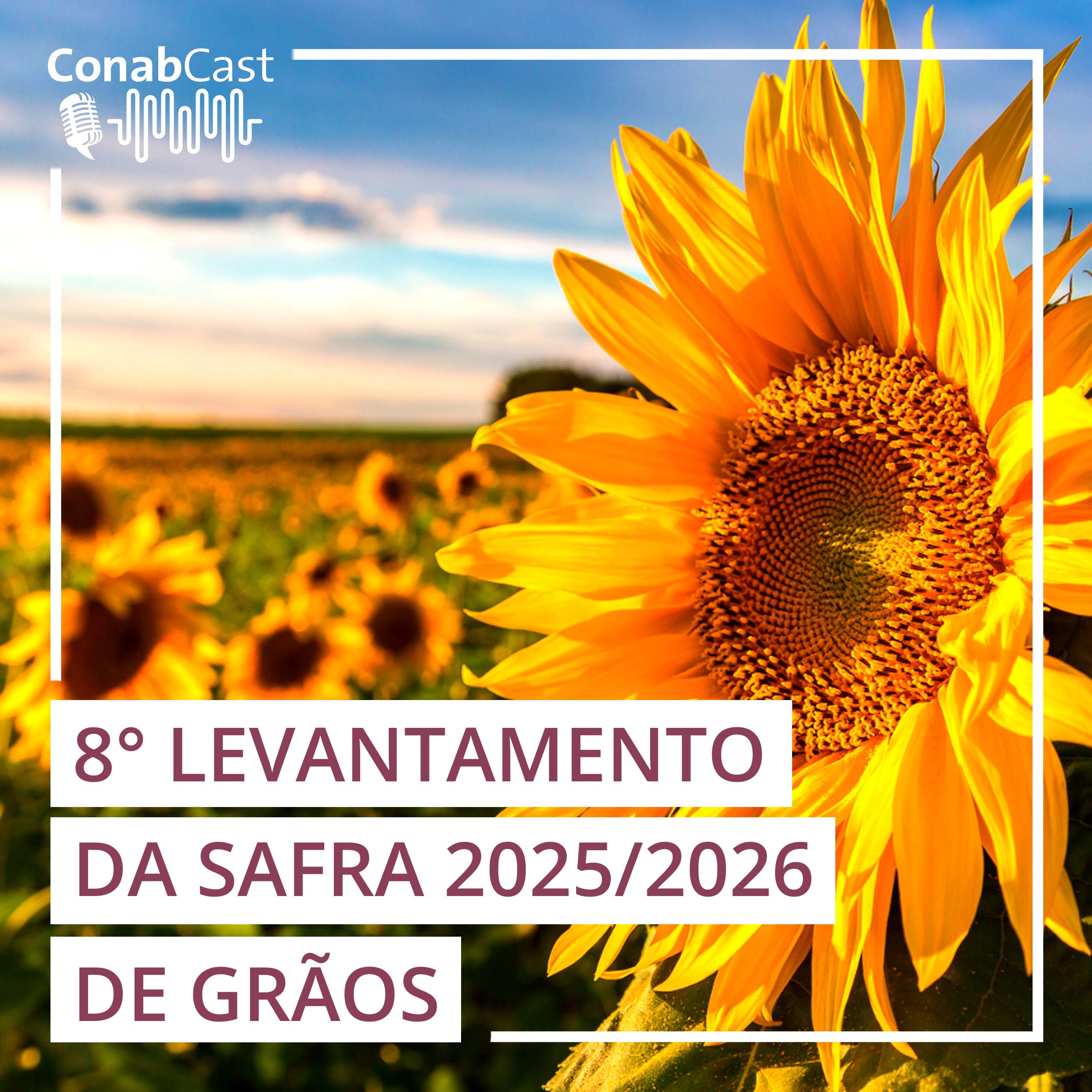 Produção brasileira de grãos poderá alcançar recorde de 358 milhões de toneladas