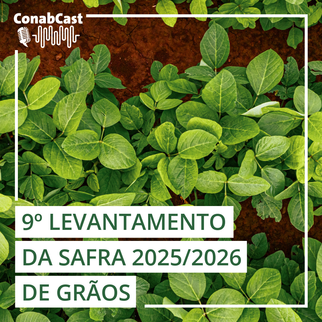 Produção de grãos na safra 2025/26 deve atingir 358,6 milhões de toneladas, aponta estimativa da Conab