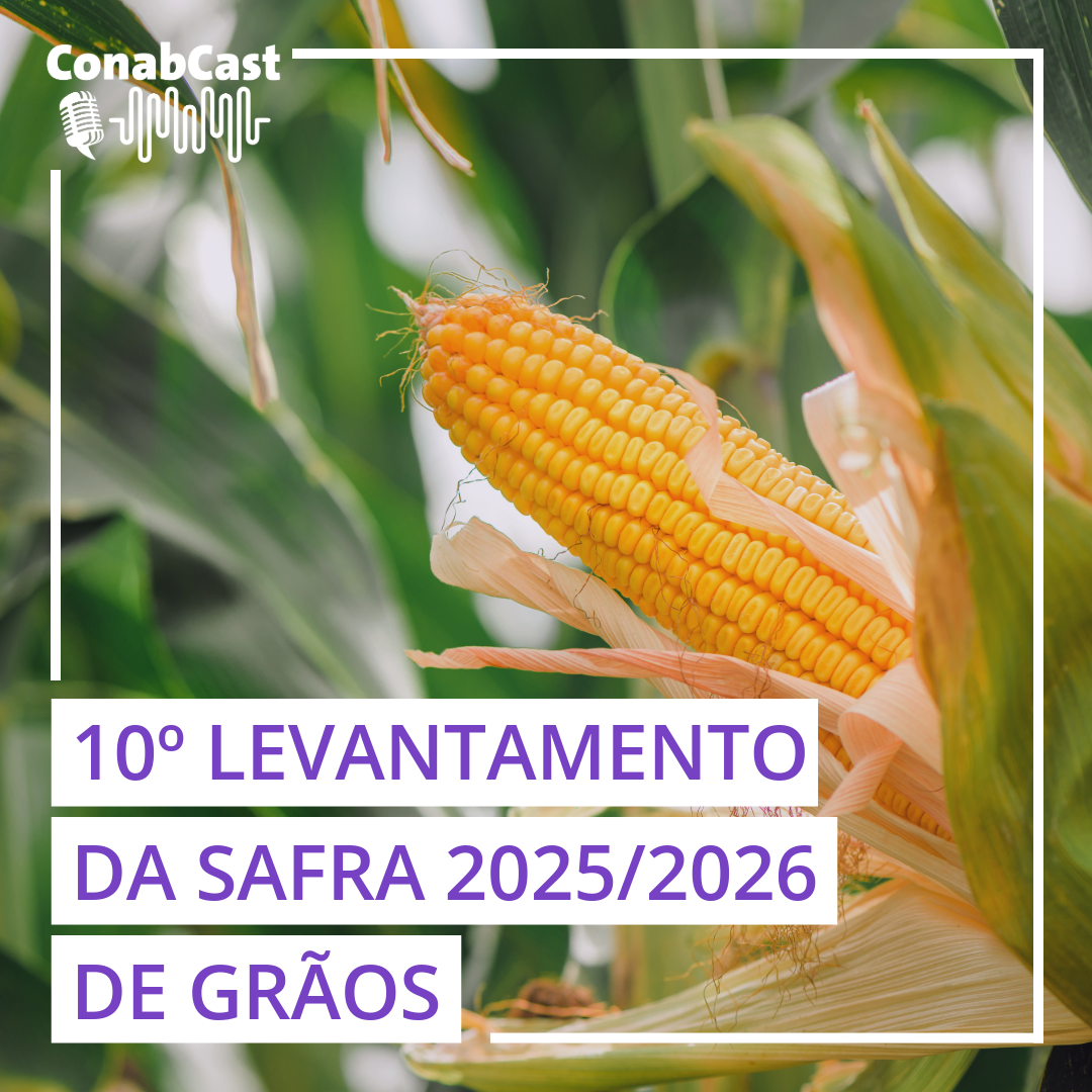 Safra de grãos é estimada 360,1 milhões para o ciclo 2025/26