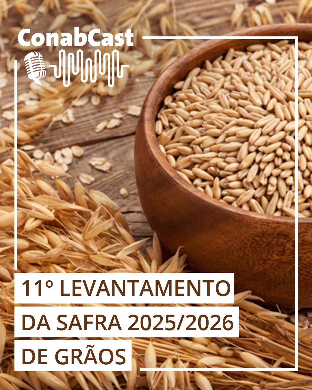 Produção de grãos é estimada em 360,8 milhões de toneladas na safra 2025/26