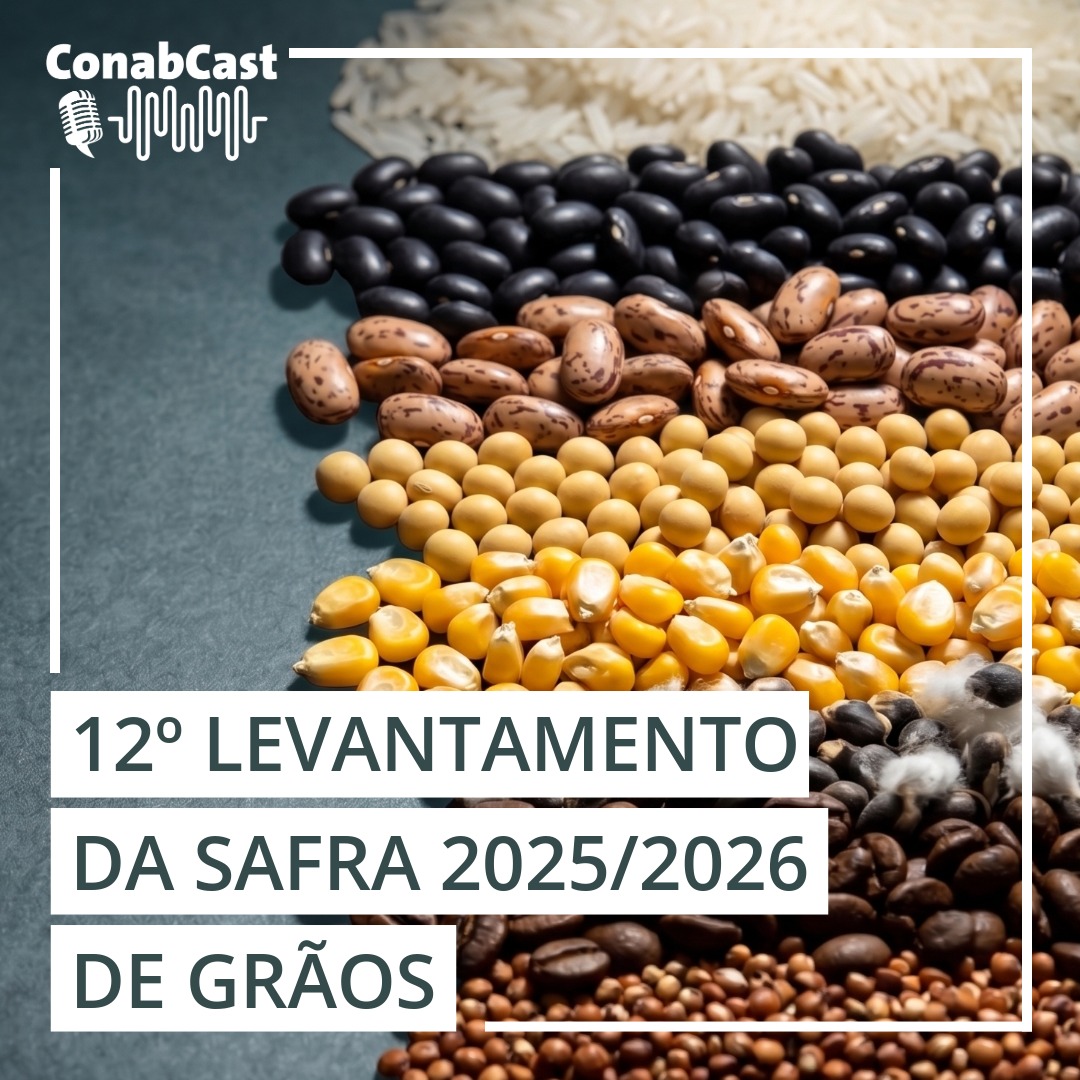 Produção de grãos na safra 2025/26 chega a 361,7 milhões de toneladas