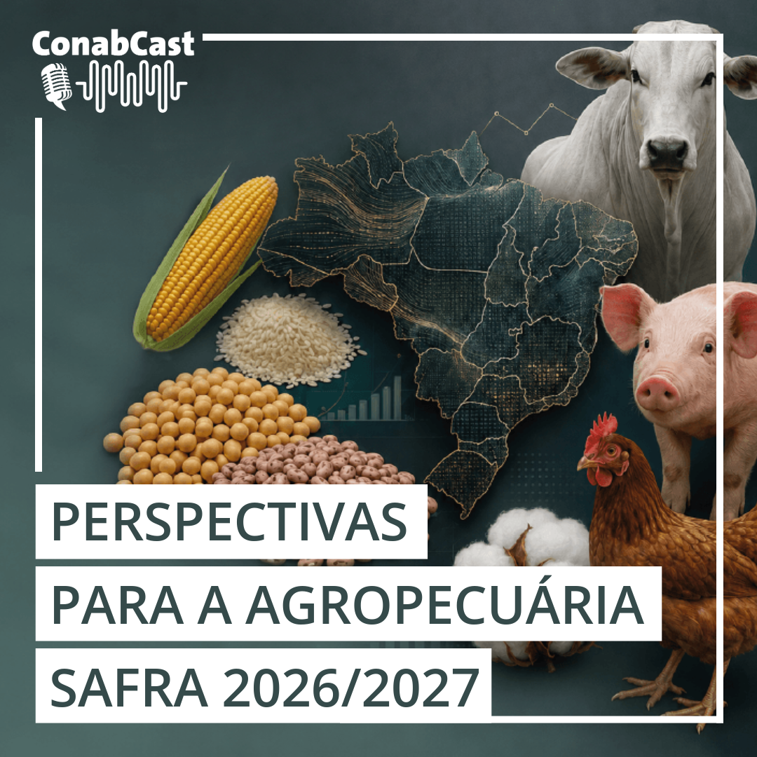 Safra de grãos em 2026/27 pode chegar a 366,6 milhões de toneladas