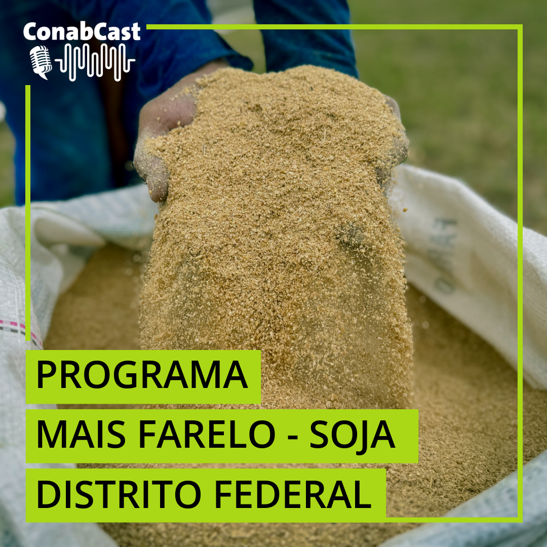 Conab inicia operações de comercialização de farelo de soja no Distrito Federal