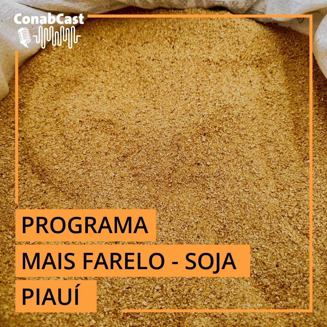 Conab inicia operações de comercialização de farelo de soja no Piauí