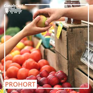 Baixa oferta faz subir preço de hortaliças, enquanto frutas ficam mais baratas