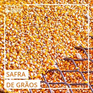Produção de grãos pela primeira vez na história deve superar 270 milhões de toneladas